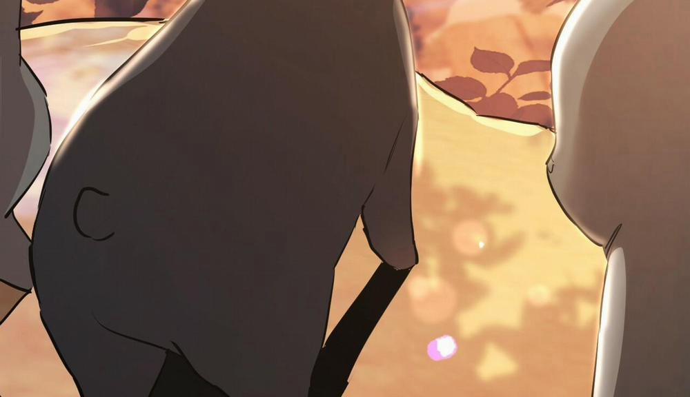 Đàn Thỏ Của Habibi 48 trang 300