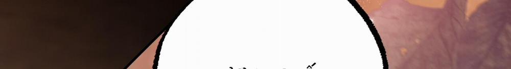 Đàn Thỏ Của Habibi 48 trang 310