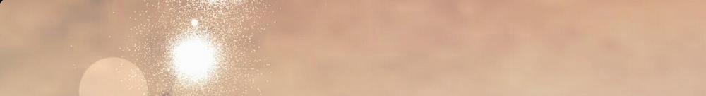 Đàn Thỏ Của Habibi 48 trang 313