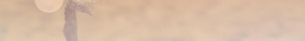 Đàn Thỏ Của Habibi 48 trang 314