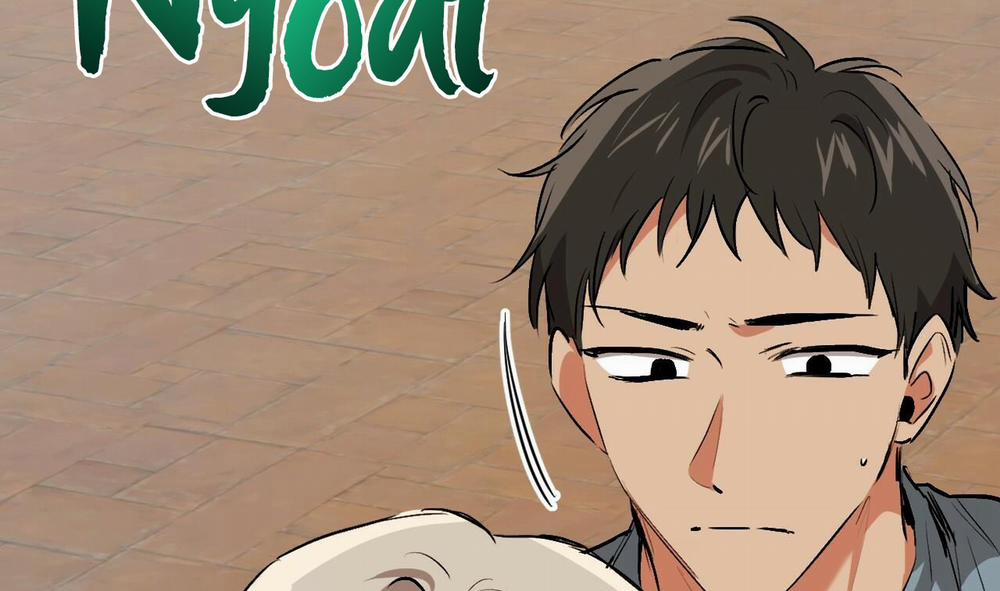 Đàn Thỏ Của Habibi 48 trang 54