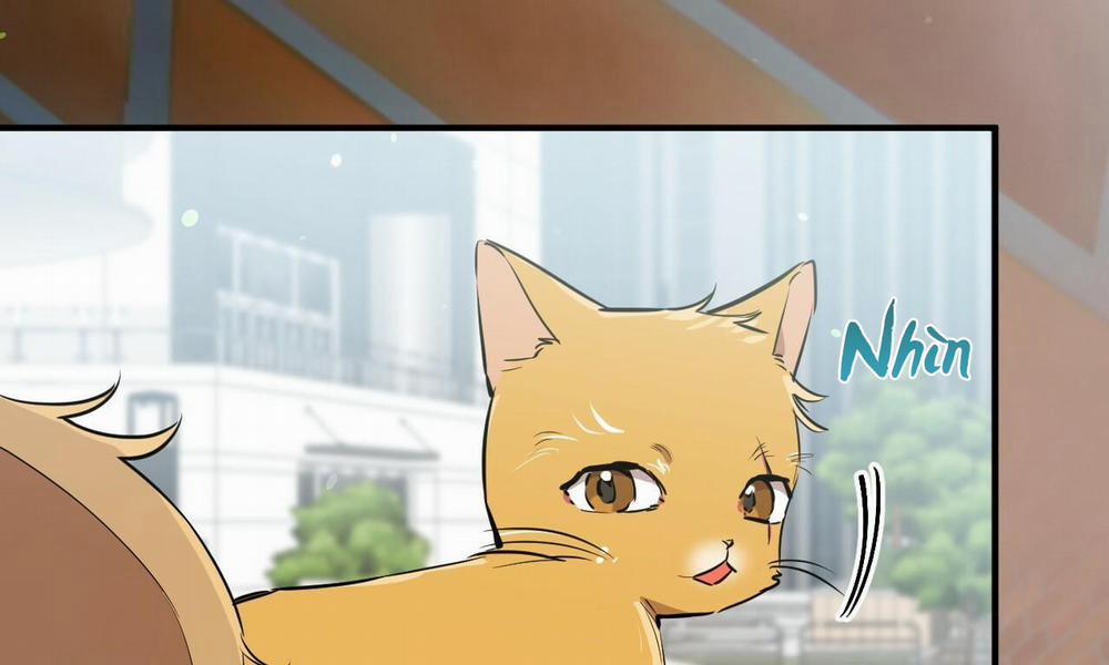 Đàn Thỏ Của Habibi 48 trang 80