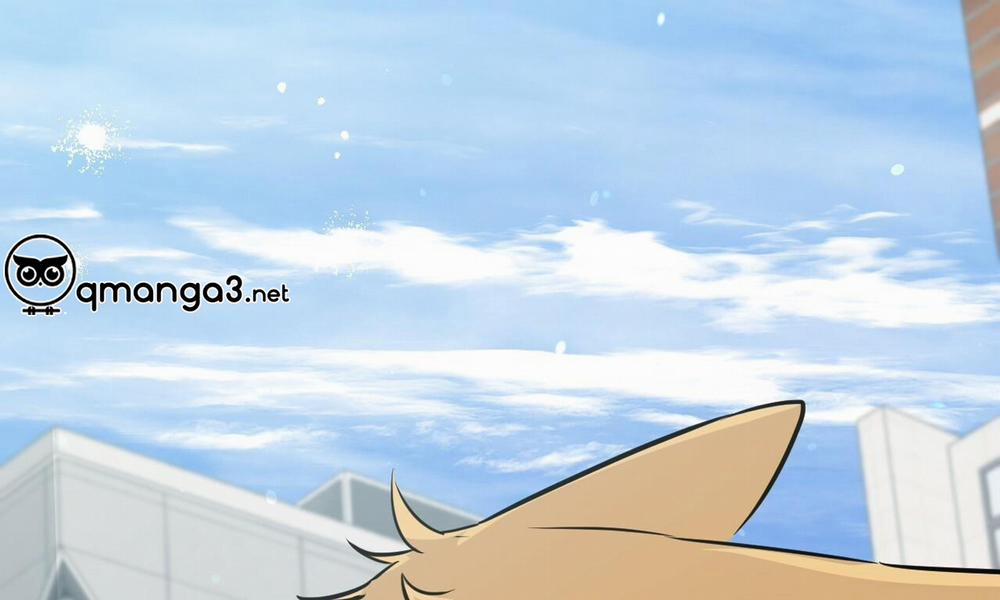 Đàn Thỏ Của Habibi 48 trang 82