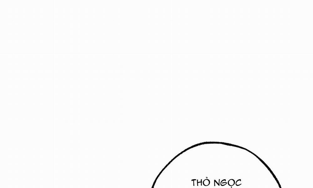 Đàn Thỏ Của Habibi 49 trang 11