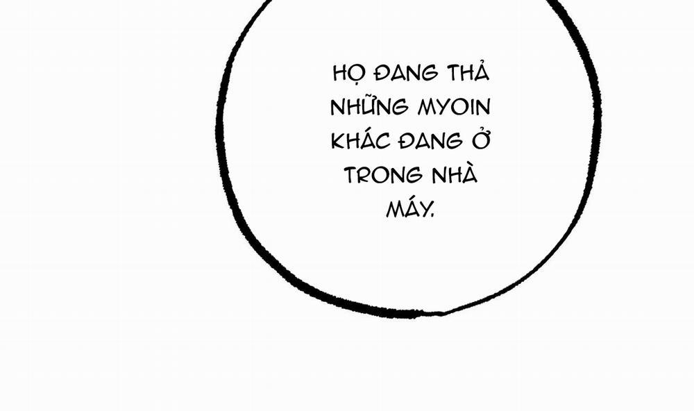 Đàn Thỏ Của Habibi 49 trang 131