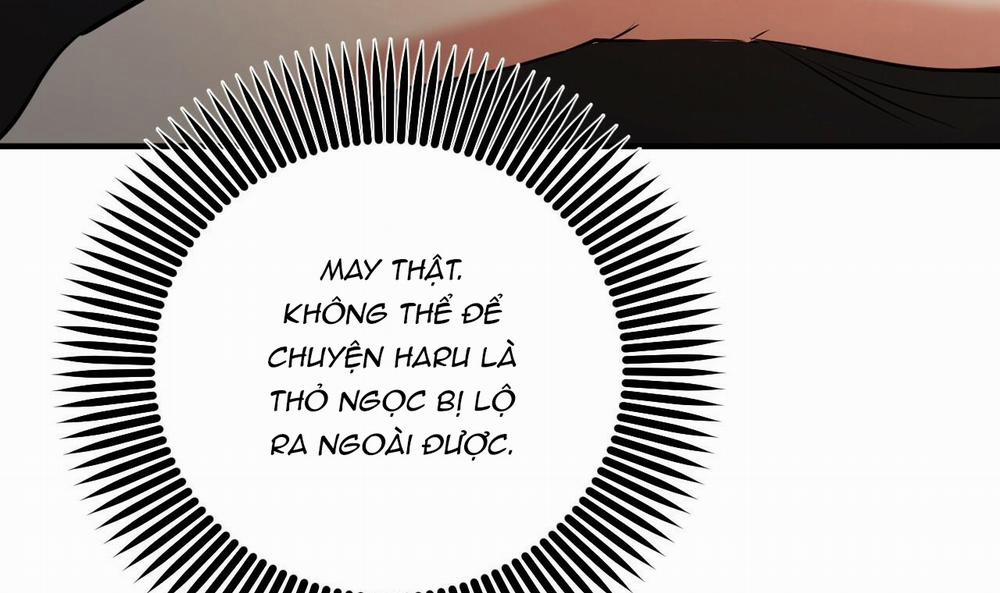 Đàn Thỏ Của Habibi 49 trang 171