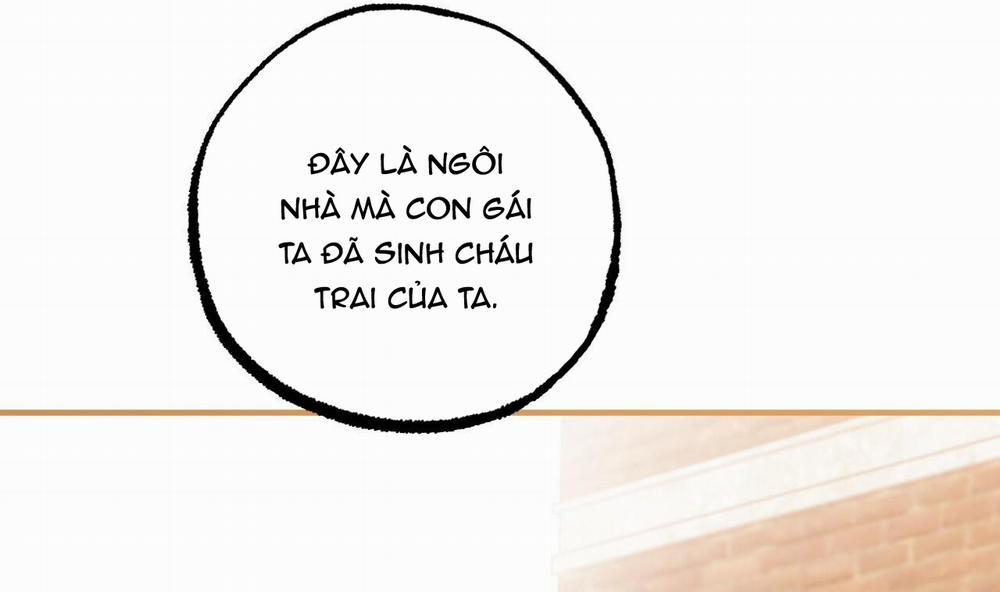 Đàn Thỏ Của Habibi 49 trang 208