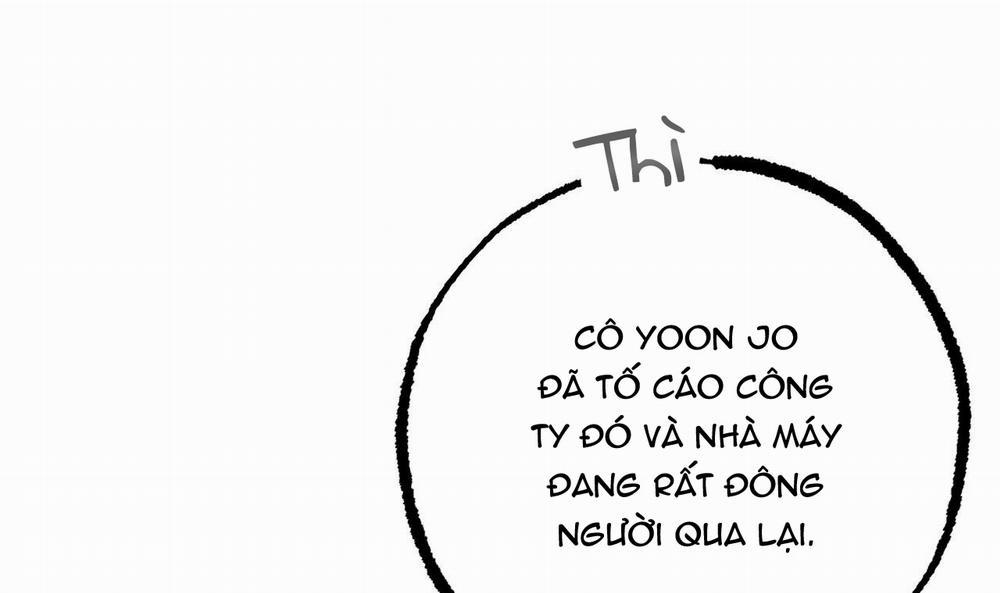 Đàn Thỏ Của Habibi 49 trang 240