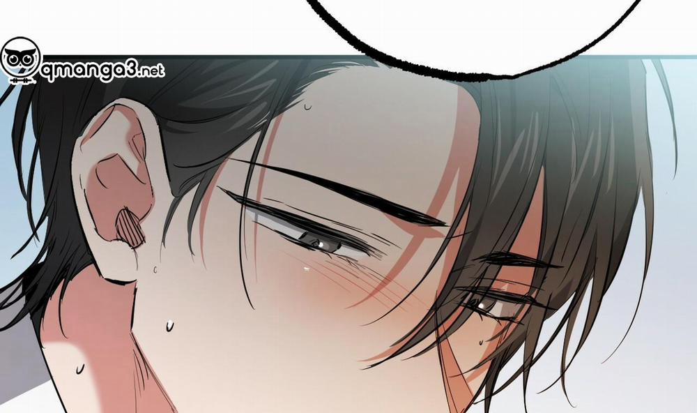 Đàn Thỏ Của Habibi 49 trang 241