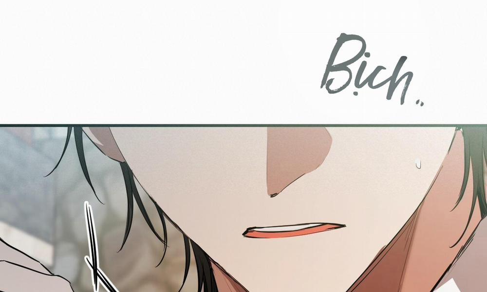 Đàn Thỏ Của Habibi 49 trang 267