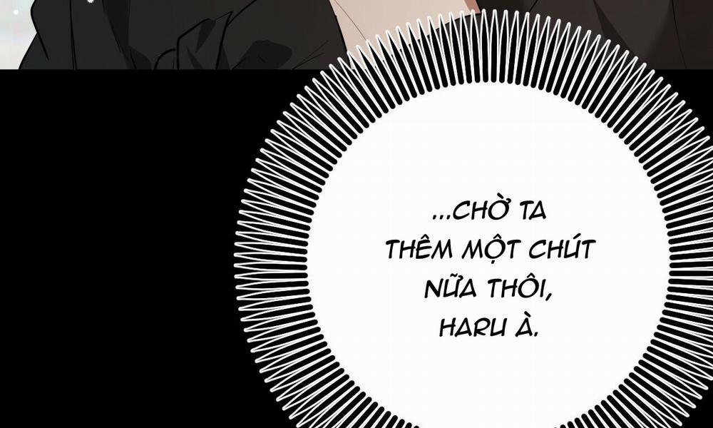 Đàn Thỏ Của Habibi 49 trang 272