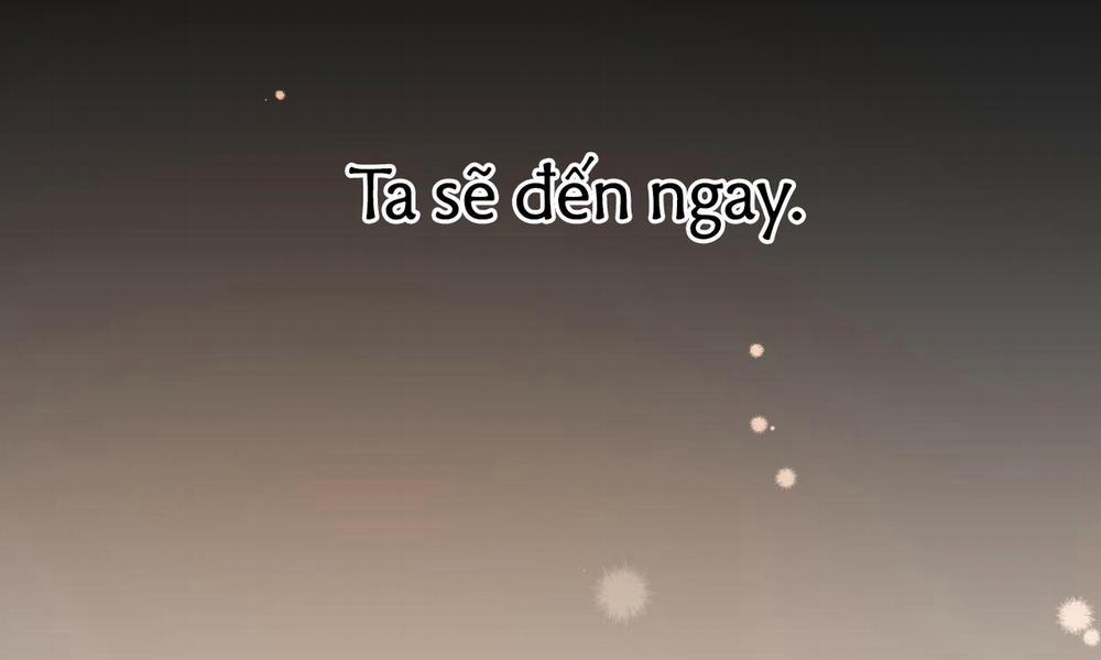 Đàn Thỏ Của Habibi 49 trang 274