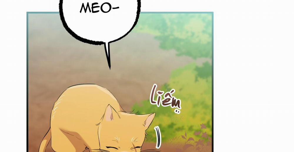 Đàn Thỏ Của Habibi 49 trang 279