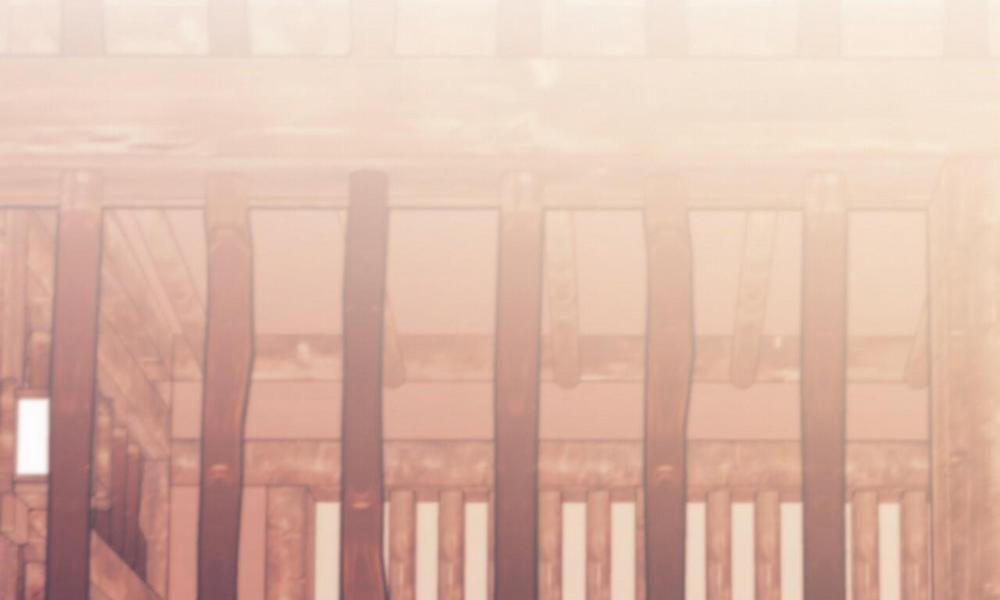 Đàn Thỏ Của Habibi 49 trang 80