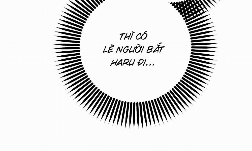 Đàn Thỏ Của Habibi 50 trang 10