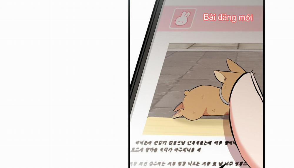 Đàn Thỏ Của Habibi 50 trang 101