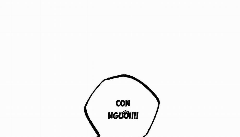 Đàn Thỏ Của Habibi 50 trang 110