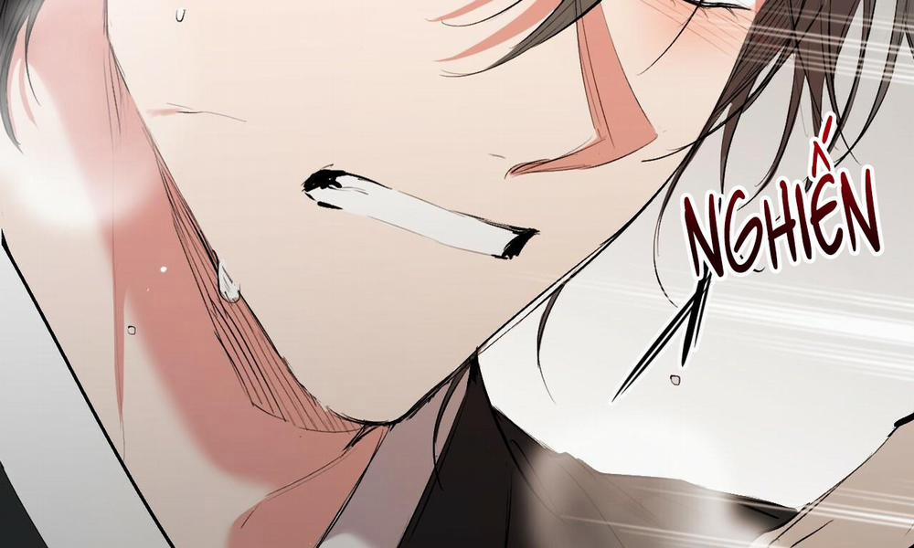 Đàn Thỏ Của Habibi 50 trang 12