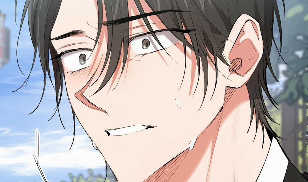 Đàn Thỏ Của Habibi 50 trang 135