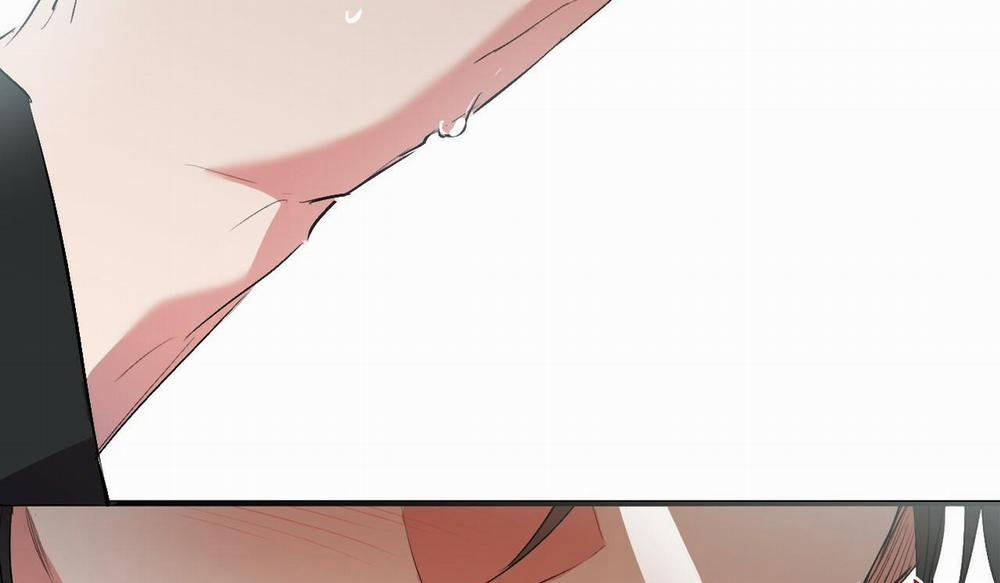 Đàn Thỏ Của Habibi 50 trang 163