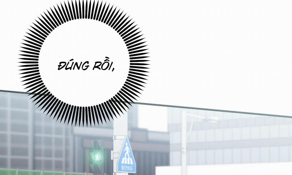 Đàn Thỏ Của Habibi 50 trang 177