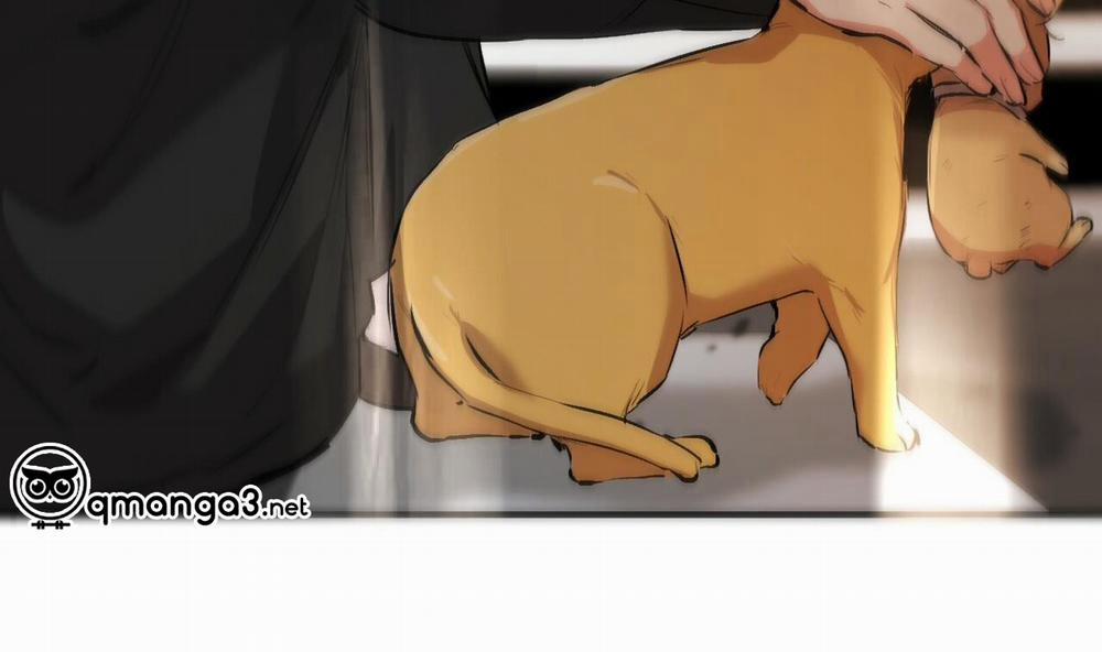 Đàn Thỏ Của Habibi 50 trang 212