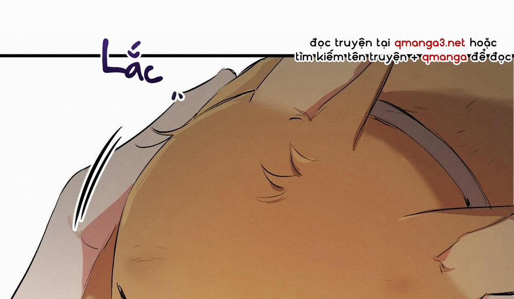 Đàn Thỏ Của Habibi 50 trang 232