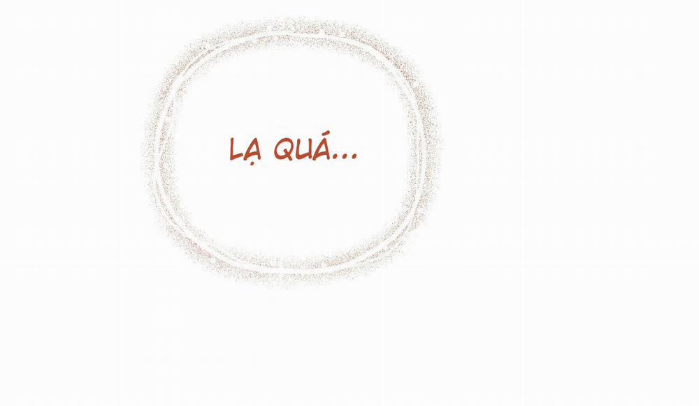 Đàn Thỏ Của Habibi 50 trang 235