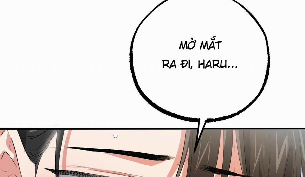 Đàn Thỏ Của Habibi 50 trang 237