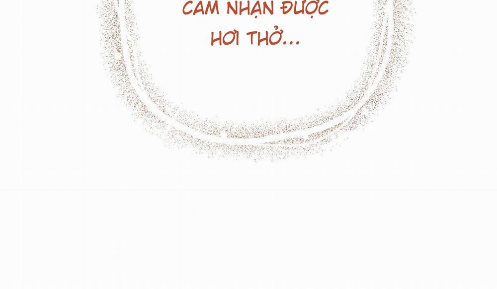 Đàn Thỏ Của Habibi 50 trang 241