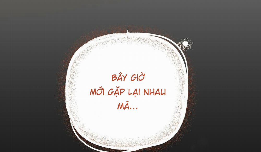 Đàn Thỏ Của Habibi 50 trang 248