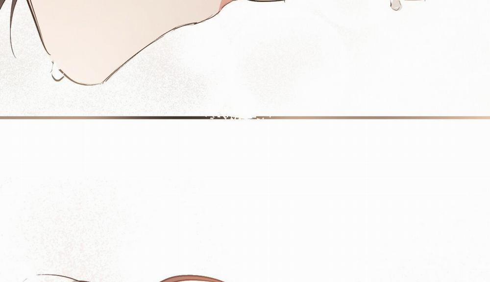 Đàn Thỏ Của Habibi 50 trang 253