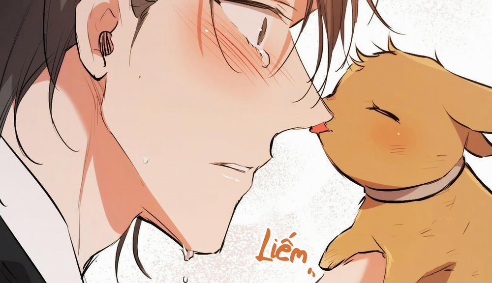 Đàn Thỏ Của Habibi 50 trang 255