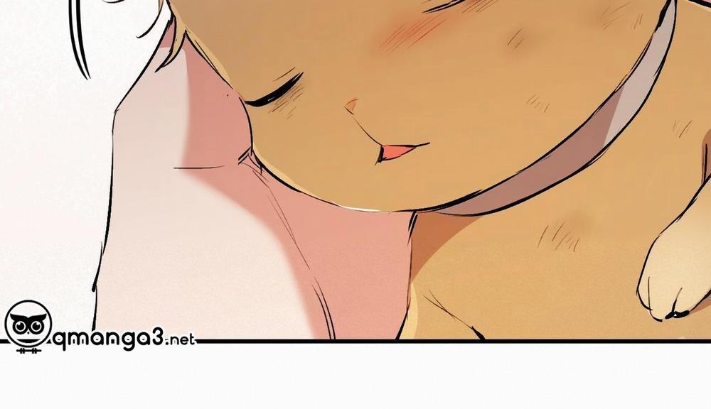 Đàn Thỏ Của Habibi 50 trang 265