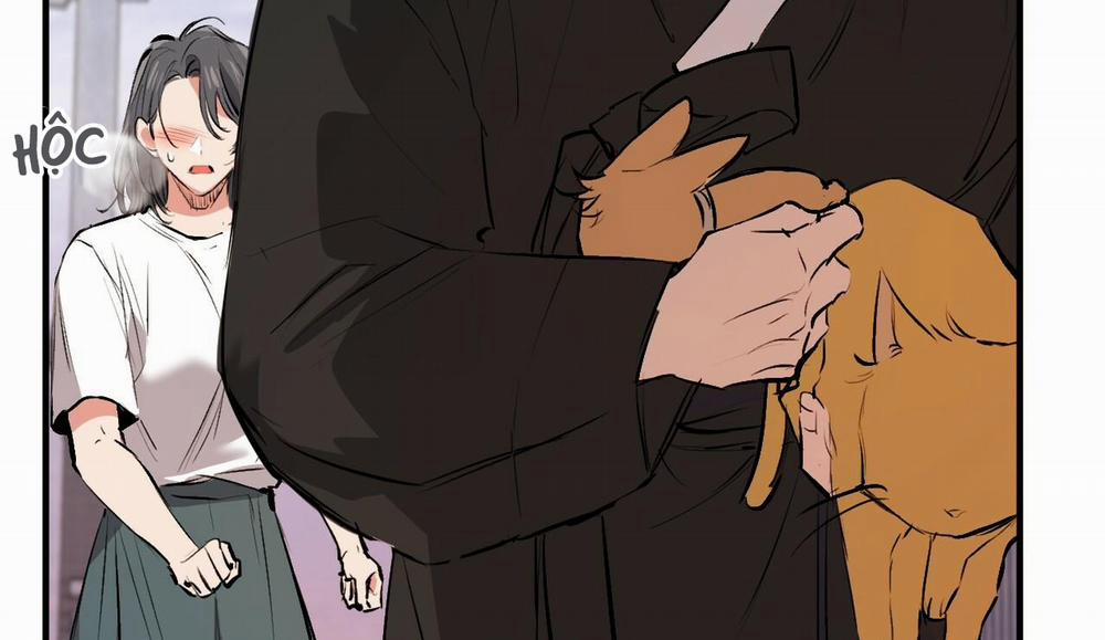 Đàn Thỏ Của Habibi 50 trang 281