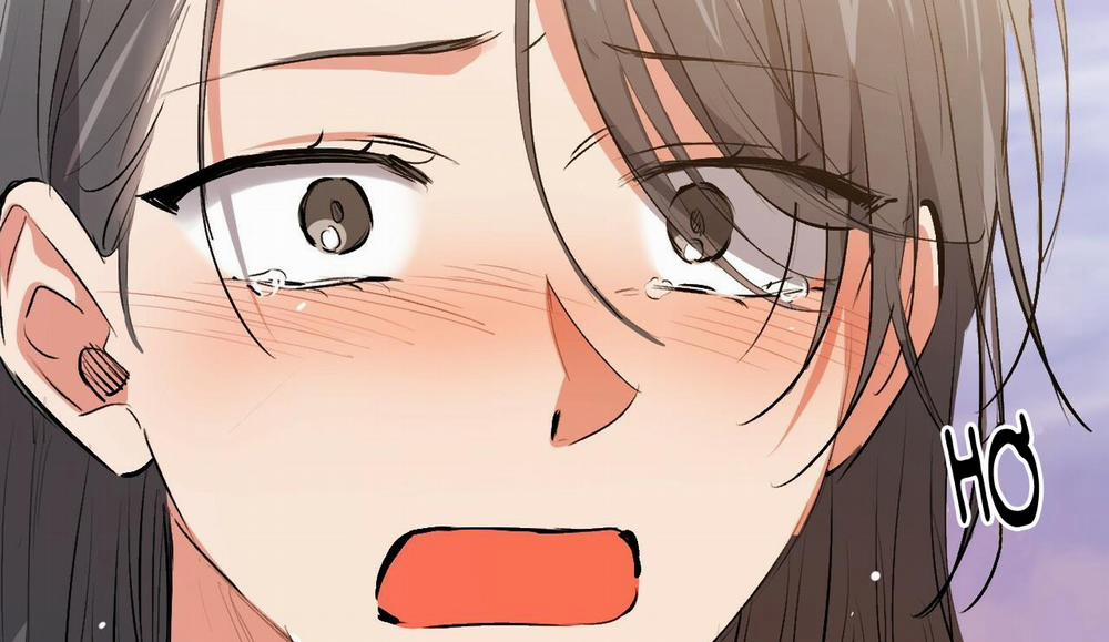 Đàn Thỏ Của Habibi 50 trang 295