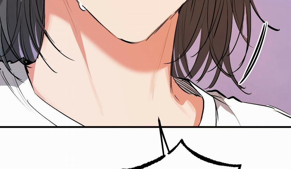 Đàn Thỏ Của Habibi 50 trang 296