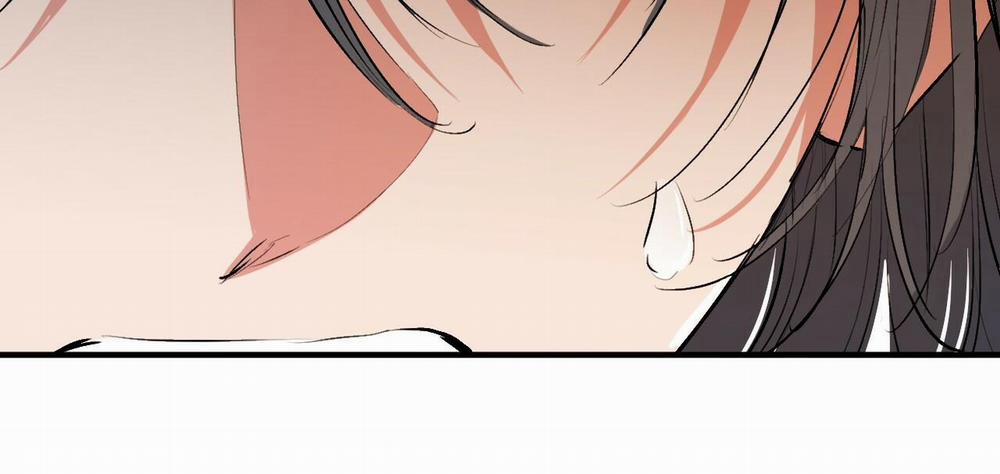 Đàn Thỏ Của Habibi 50 trang 312