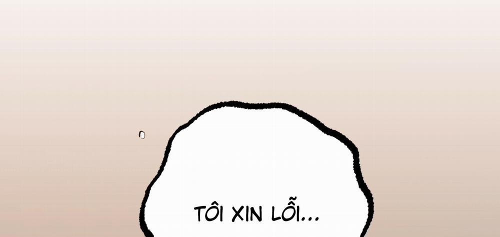 Đàn Thỏ Của Habibi 50 trang 317