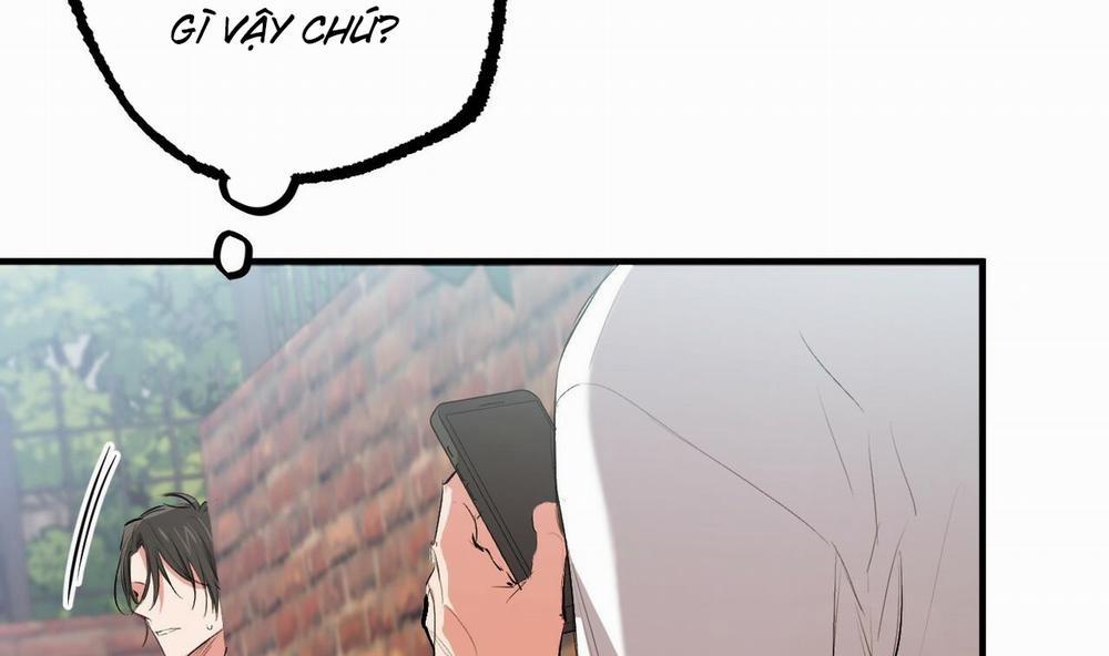 Đàn Thỏ Của Habibi 50 trang 37