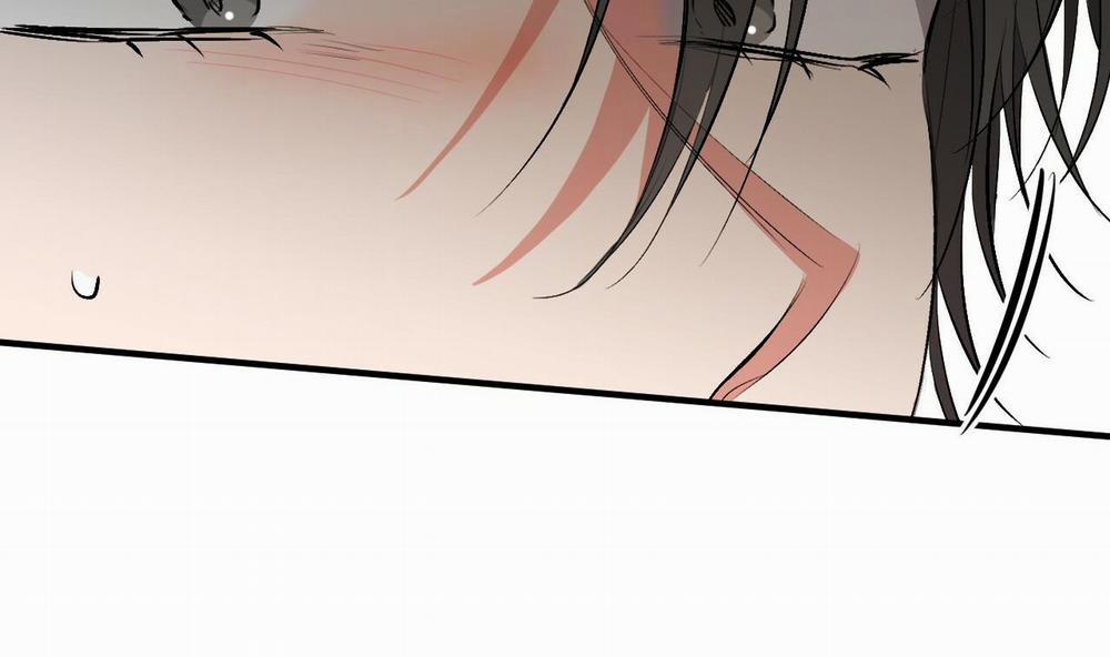 Đàn Thỏ Của Habibi 50 trang 45