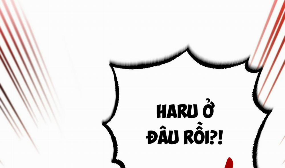 Đàn Thỏ Của Habibi 50 trang 51