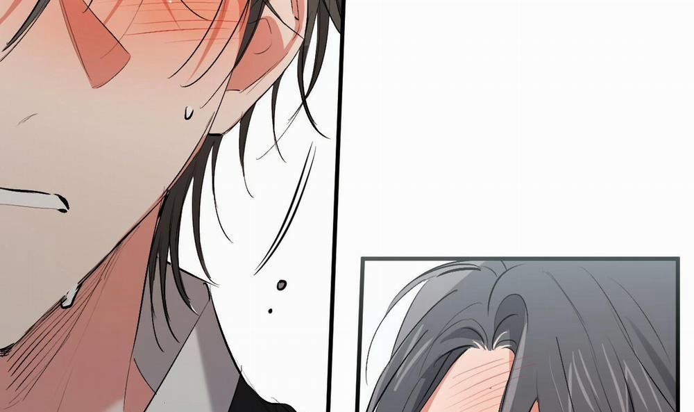 Đàn Thỏ Của Habibi 50 trang 57