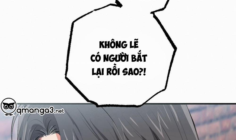 Đàn Thỏ Của Habibi 50 trang 67