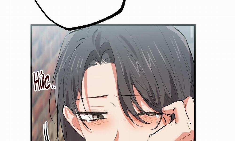 Đàn Thỏ Của Habibi 50 trang 89