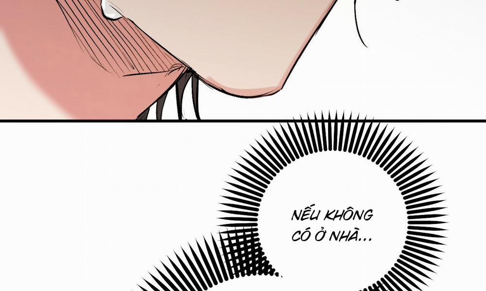 Đàn Thỏ Của Habibi 50 trang 9