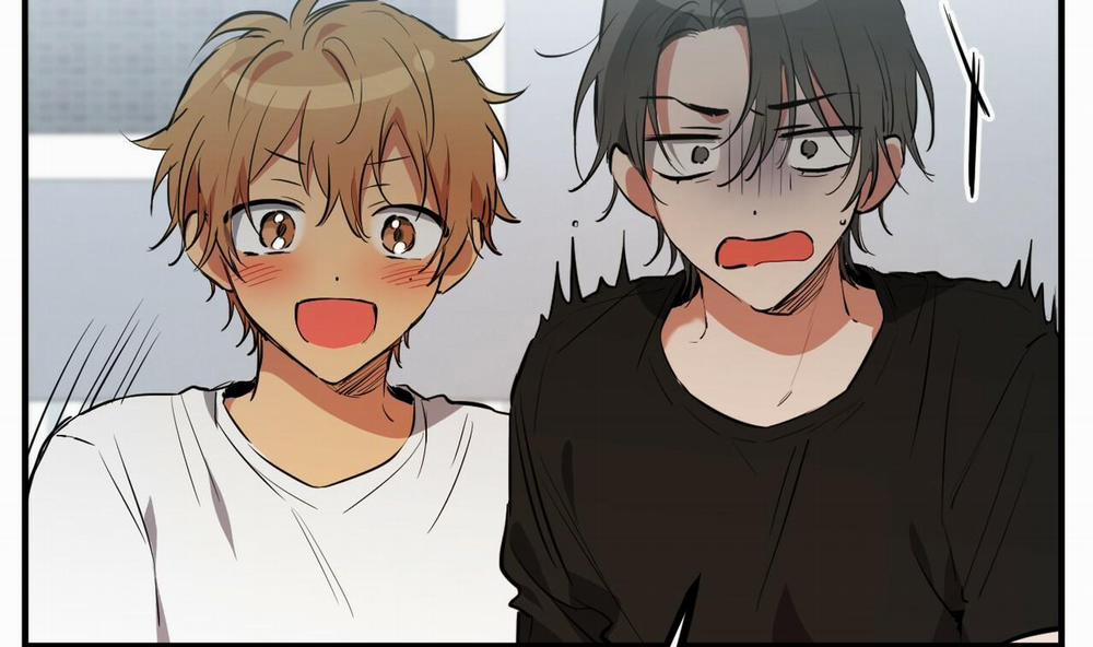 Đàn Thỏ Của Habibi 51 trang 166