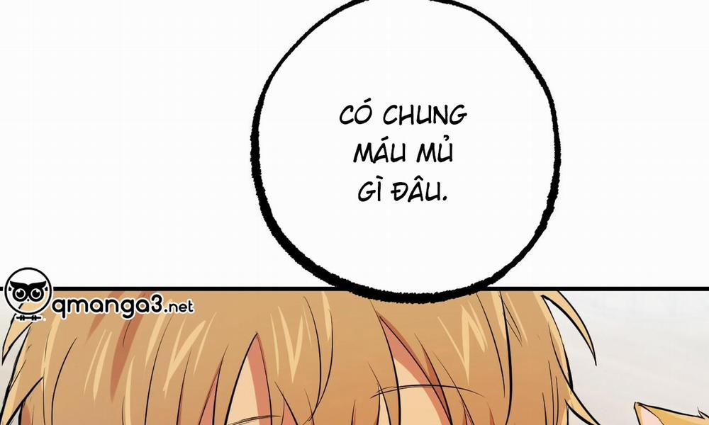 Đàn Thỏ Của Habibi 51 trang 181