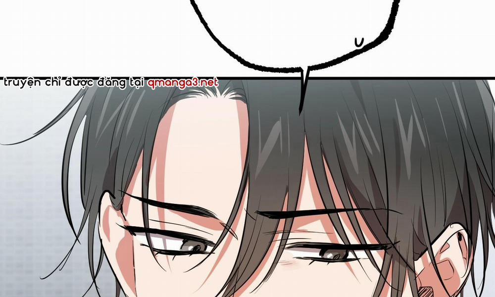 Đàn Thỏ Của Habibi 51 trang 195