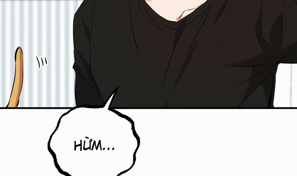 Đàn Thỏ Của Habibi 51 trang 202